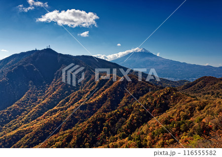 紅葉の本社ヶ丸から見る三ツ峠と富士山 116555582
