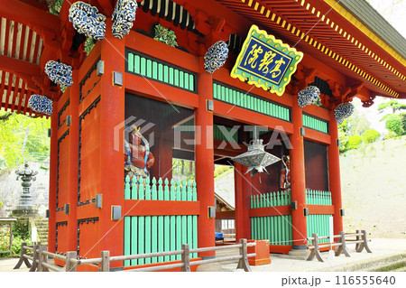 富岡市:妙義神社 富岡市:妙義神社 116555640