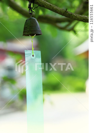 富岡市:妙義神社 富岡市:妙義神社 116555661