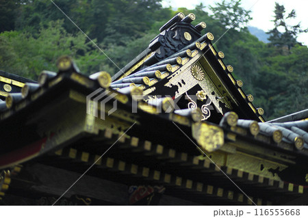 富岡市:妙義神社 富岡市:妙義神社 116555668
