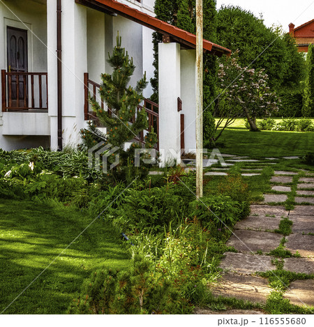 Backyard design elements Backyard design elements 116555680