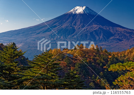 三ツ峠・御巣鷹山から見る山小屋と富士山 116555763
