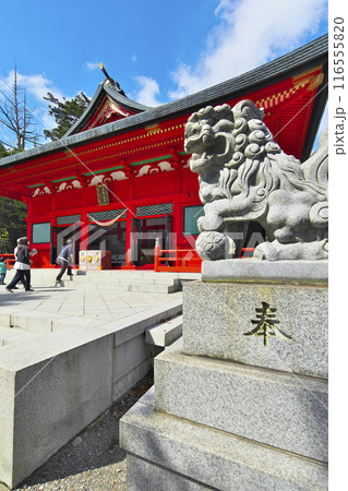前橋市:赤城神社 前橋市:赤城神社 116555820