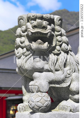 前橋市:赤城神社 116555822