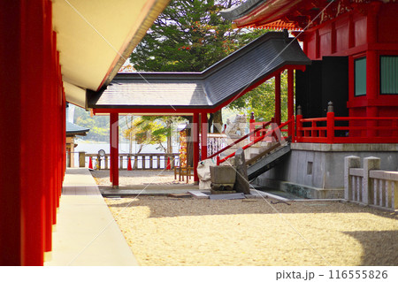 前橋市:赤城神社 116555826