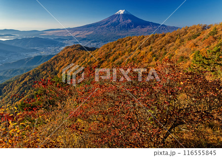 紅葉の三ツ峠から望む冠雪した富士山 紅葉の三ツ峠から望む冠雪した富士山 116555845
