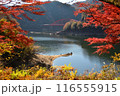奥矢作湖の紅葉 116555915