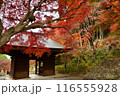 普門寺の紅葉 116555928