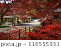 普門寺の紅葉 116555931
