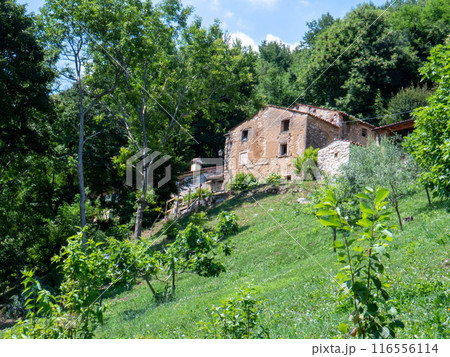 Ancient mills in valle dei Mulini Lusiana Veneto region 116556114