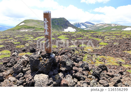 夏の大雪山　小泉岳　山頂標識　旭岳　白雲岳を望む 116556299