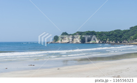 【千葉県勝浦市】鵜原海岸・鵜原海水浴場 116556323