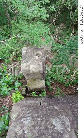 鬼叫山の神武岩 116556327