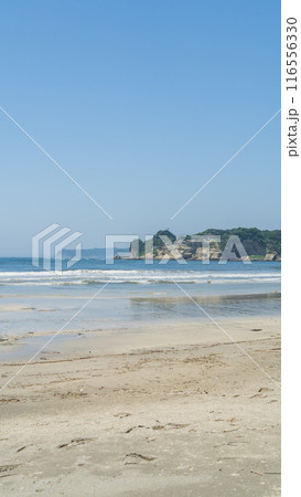 【千葉県勝浦市】鵜原海岸・鵜原海水浴場 116556330