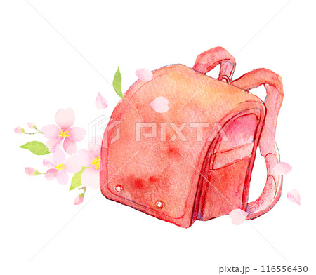 赤いランドセルと桜の花　水彩イラスト 116556430