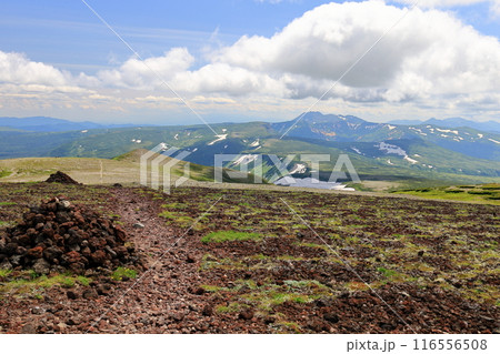 夏の大雪山　小泉岳山頂付近より　トムラウシ山　高根ヶ原　十勝岳連峰方面を望む 116556508