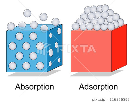 Adsorption and Absorption. Physical or chemical phenomenon. 116556595