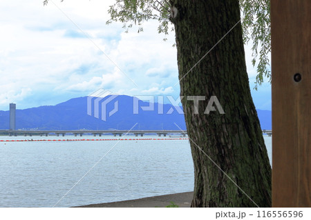 木陰から眺める琵琶湖と比叡山と近江大橋 116556596