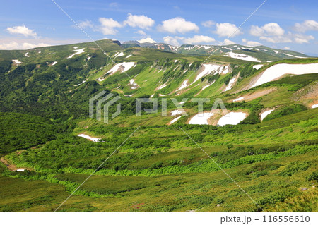 夏の大雪山　緑岳より　トムラウシ山　高根ヶ原　十勝岳連峰方面を望む 116556610