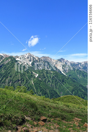 八方尾根から望む夏の白馬三山 116556666