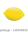 フレッシュな丸ごとレモンのイラスト 116556810
