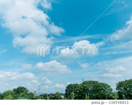 空と雲 空と雲 116556813