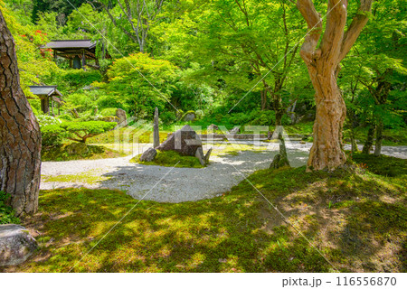 【定勝寺】初夏の庭園【枯山水】 116556870
