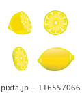 レモンのイラスト 116557066