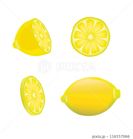 レモンのイラスト 116557066