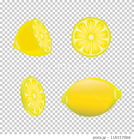 レモンのイラスト 116557066