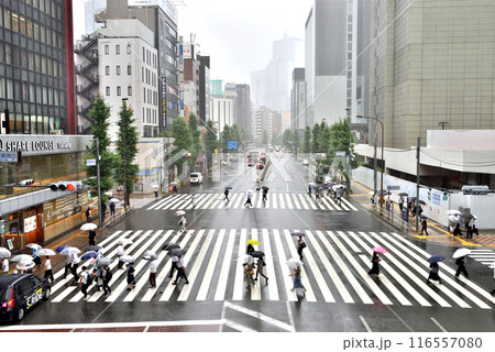 雨の日に田町駅西口交差点横断歩道を渡る人々 116557080
