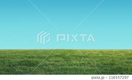 空と土手のシンプルなコピースペースのある背景　AI生成画像 116557297