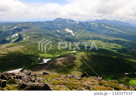 夏の大雪山　白雲岳山頂より望む　トムラウシ山　忠別岳　オプタテシケ山 116557337