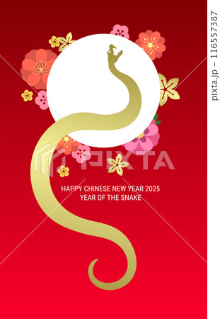 Golden chinese zodiac snake with flowers background 116557387