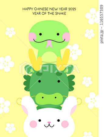 Three cute zodiac animals dragon snake and rabbit cartoon characters illustration Three cute zodiac animals dragon snake and rabbit cartoon characters illustration 116557389