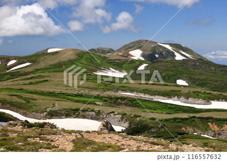 夏の大雪山 白雲岳避難小屋分岐より北鎮岳方向を望む 北海岳 お鉢平 夏の大雪山 白雲岳避難小屋分岐より北鎮岳方向を望む 北海岳 お鉢平 116557632