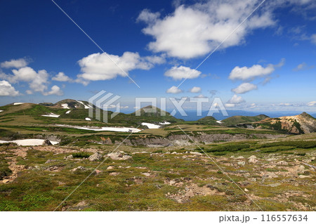 夏の大雪山　白雲岳避難小屋分岐より北鎮岳　黒岳方向を望む　北海岳　お鉢平 116557634