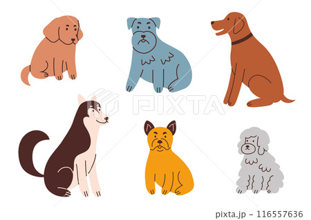 Vector illustration set of dogs, puppies of various breeds, bulldog, husky, schnauzer, poodle. Cute and cartoon style animals for veterinary themes, grooming salons, pet lovers. Flat icon collection Vector illustration set of dogs, puppies of various breeds, bulldog, husky, schnauzer, poodle. Cute and cartoon style animals for veterinary themes, grooming salons, pet lovers. Flat icon collection 116557636