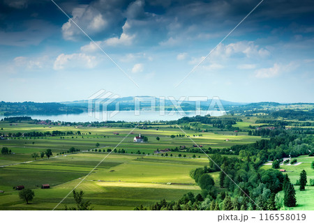 Aerial view on Forggensee and Schwangau, Germany, Bavaria 116558019