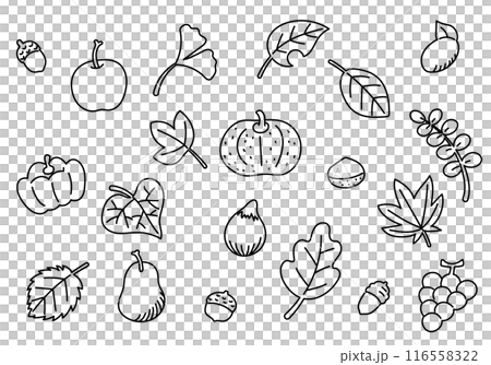秋の果物と野菜と落ち葉の線画のセット 116558322