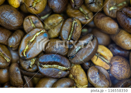 Close-up shot of numerous roasted coffee beans, Close-up shot of numerous roasted coffee beans, 116558350
