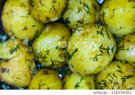 Close-up view of boiled potatoes garnished with fresh dill 116558361