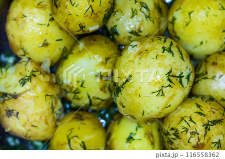 Close-up view of boiled potatoes garnished with fresh dill Close-up view of boiled potatoes garnished with fresh dill 116558362