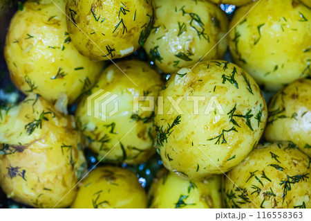 Close-up view of boiled potatoes garnished with fresh dill Close-up view of boiled potatoes garnished with fresh dill 116558363