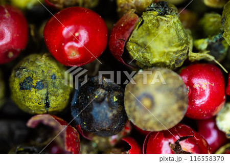 Close-up macro a vibrant mix of green, red, and black peppercorns. 116558370