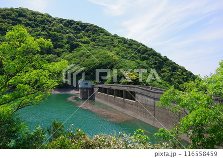 兵庫県淡路島 大日川ダム 兵庫県淡路島 大日川ダム 116558459