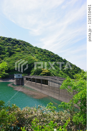 兵庫県淡路島　大日川ダム 116558461