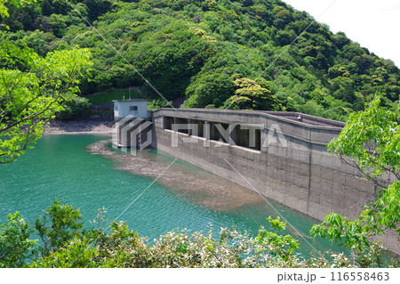 兵庫県淡路島 大日川ダム 兵庫県淡路島 大日川ダム 116558463