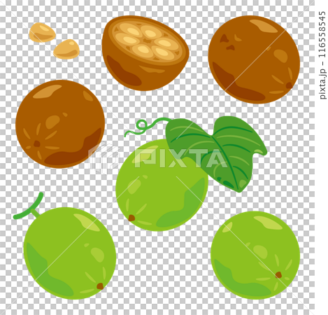 羅漢果セット 116558545