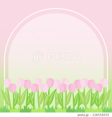 little tulip arch frame 1 116558555